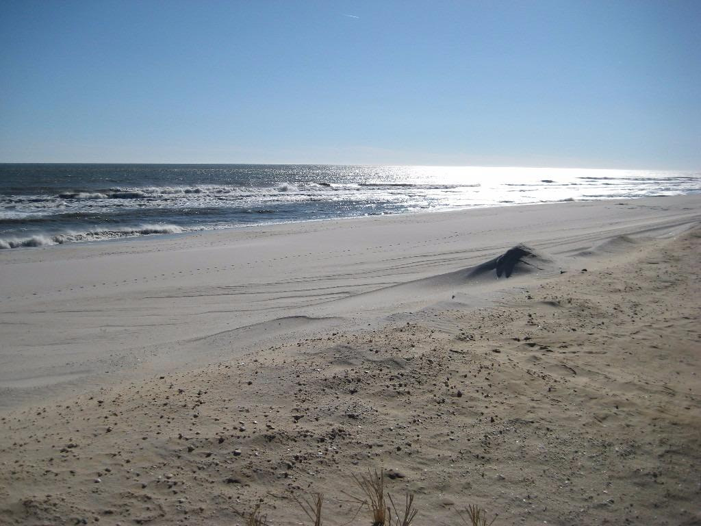 brantbeachnjoceansidevacationrental407314285519 Better Homes